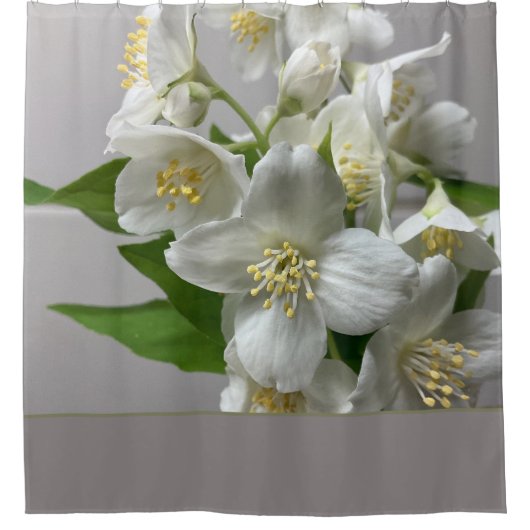 grau-weiß und grün duschvorhang (Vorderseite)