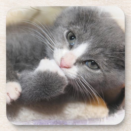 GRAU-WEISSE KÜCHE UNTERSETZER (Vorderseite)