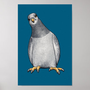 Grau weiße Tauben - Türkises Poster