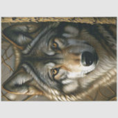 Grau-Wolf-Decoupage mit bernsteinfarbenen Augen Seidenpapier (Vorderseite)