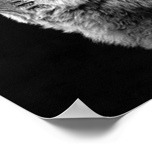 Grau Wolf & Moon Panorama Poster Printwerbung (Ecke)