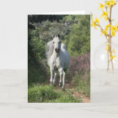 Grauarabäer, die mit Blume auf dem Weg sind Karte (Gelbe Blume)