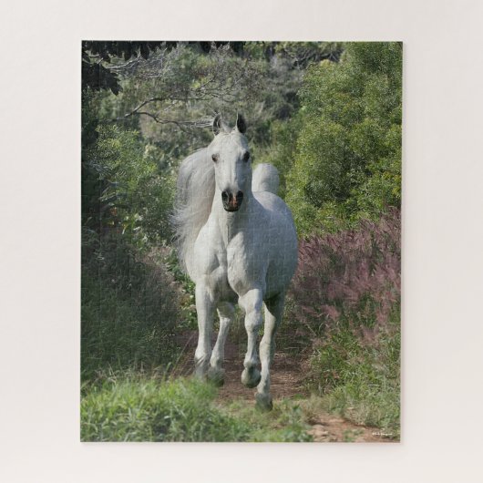 Grauarabäer, die mit Blume auf dem Weg sind Puzzle (Vertikal)