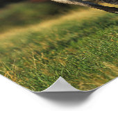 Grauarabischer Stehender autonaler Hintergrund Poster (Ecke)