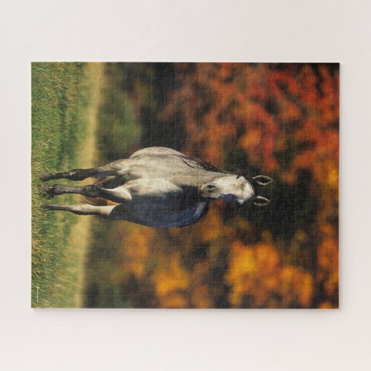 Grauarabischer Stehender autonaler Hintergrund Puzzle (Horizontal)