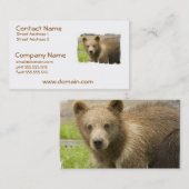 Graubär-CUB-Visitenkarten Visitenkarte (Vorne/Hinten)