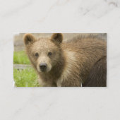 Graubär-CUB-Visitenkarten Visitenkarte (Rückseite)