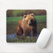GRAUBÄR IM WASSER MOUSEPAD (Mit Mouse)