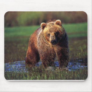 GRAUBÄR IM WASSER MOUSEPAD