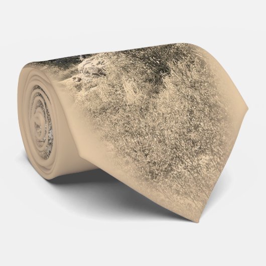 Graubär Krawatte (Gerollt)