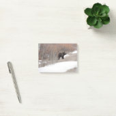 Graubär Post-it Klebezettel (Büro)