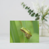 Graubaum-Frosch Postkarte (Stehend Vorderseite)