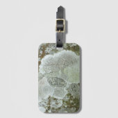 Graubaumrinde Gepäckanhänger (Vorderseite Vertikal)