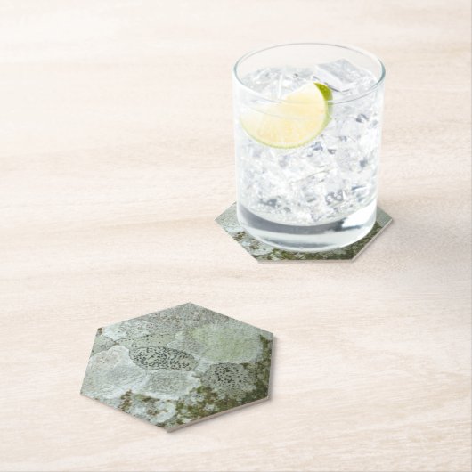 Graubaumrinde Untersetzer (Vor Ort)