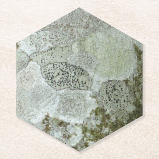 Graubaumrinde Untersetzer (Vorderseite)