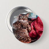 Graubraun, schwarz gestromt button (Vorne & Hinten)