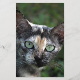 Graubraun-weiße Katze mit grünen Augen Briefpapier