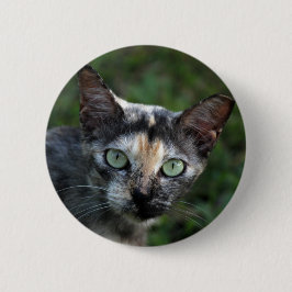 Graubraun-weiße Katze mit grünen Augen Button