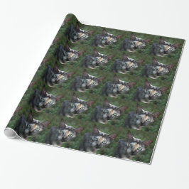 Graubraun-weiße Katze mit grünen Augen Geschenkpapier