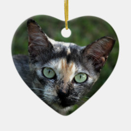 Graubraun-weiße Katze mit grünen Augen Keramikornament