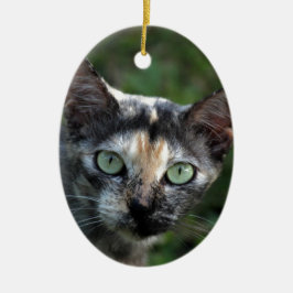 Graubraun-weiße Katze mit grünen Augen Keramikornament