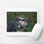 Graubraun-weiße Katze mit grünen Augen Mousepad (Mit Mouse)