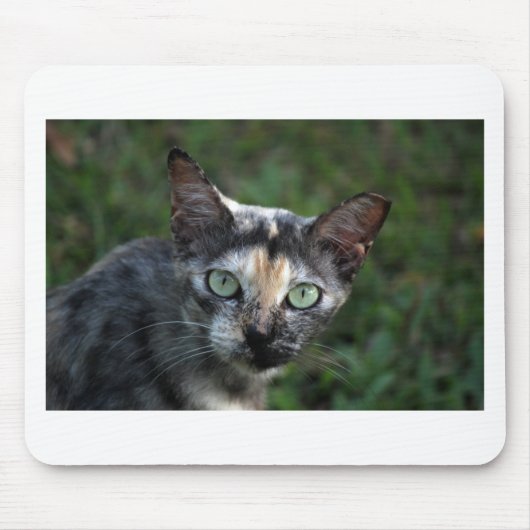 Graubraun-weiße Katze mit grünen Augen Mousepad (Vorne)