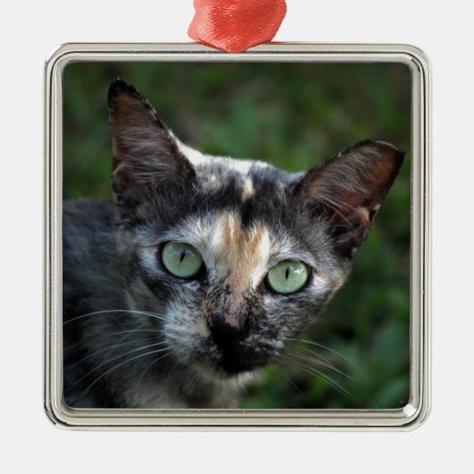 Graubraun-weiße Katze mit grünen Augen Ornament Aus Metall (Vorne)