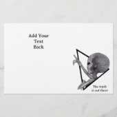 Graue Alien, die Wahrheit ist da draußen Flyer (Hinten)