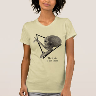 Graue Alien, die Wahrheit ist da draußen T-Shirt