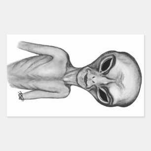 Graue Alien, ich wollte zu glauben Rechteckiger Aufkleber