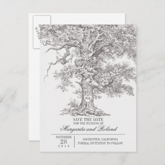 graue, alte Eiche Save the Date Postkarten (Vorne/Hinten)