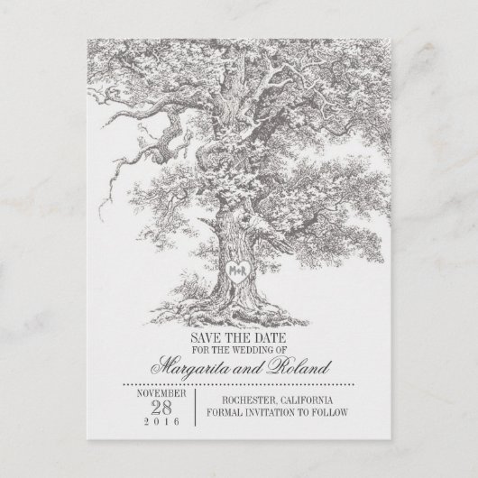graue alte Eiche Save-the-Date-Postkarten Ankündigungspostkarte (Vorderseite)