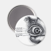 Graue Anatomie — Augapfel Magnet (Vorderseite/Rückseite)