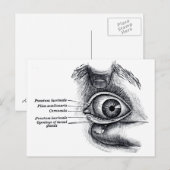 Graue Anatomie — Augapfel Postkarte (Vorne/Hinten)