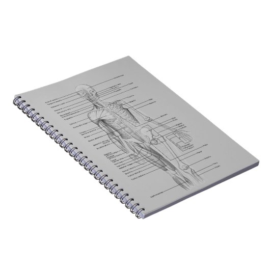 Graue Anatomie Notizblock (Rechte Seite)