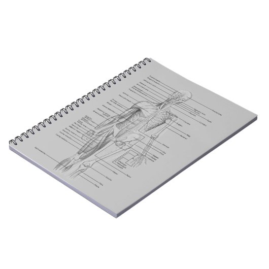 Graue Anatomie Notizblock (Linke Seite)