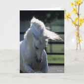 Graue andalusische Bucking Headshot Backlit Karte (Gelbe Blume)