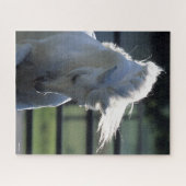 Graue andalusische Bucking Headshot Backlit Puzzle (Horizontal)