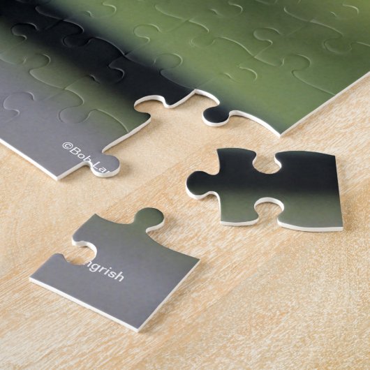 Graue andalusische Bucking Headshot Backlit Puzzle (Seite)