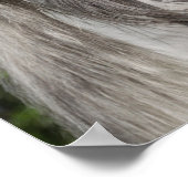 Graue andalusische Stallion Headshot Long Mane Poster (Ecke)