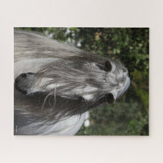 Graue andalusische Stallion Headshot Long Mane Puzzle (Horizontal)