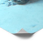 Graue Angelfish Poster (Ecke)