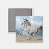Graue arabische Pferdegalopp durch sanfte Landscha Magnet (Vorderseite/Rückseite)