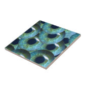 graue Augapfel Fliese (Seite)