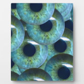 graue Augapfel Fotoplatte (Vorderseite)