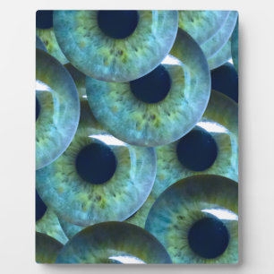 graue Augapfel Fotoplatte