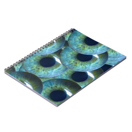 graue Augapfel Notizblock (Linke Seite)