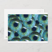 graue Augapfel Postkarte (Vorne/Hinten)