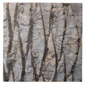 Graue Baumrindebeschaffenheit Fliese (Vorderseite)